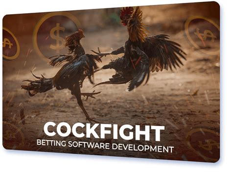 fight bet